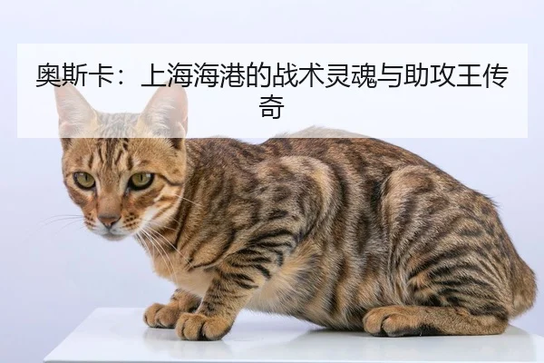 ao-si-ka-shang-hai-hai-gang-de-zhan-shu-ling-hun-yu-zhu-gong-wang-chuan-qi-2-908.jpg