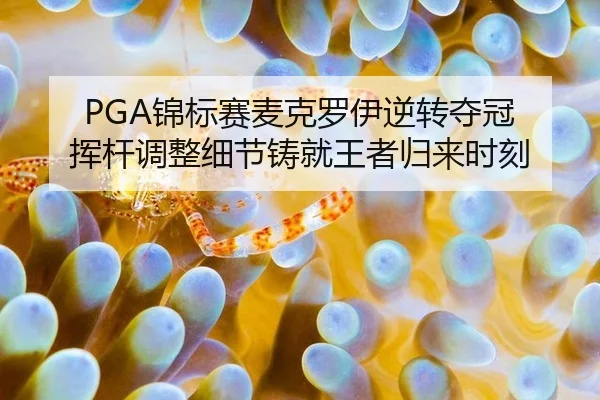 jin-biao-sai-mai-ke-luo-yi-ni-zhuan-duo-guan-hui-gan-tiao-zheng-xi-jie-zhu-jiu-wang-zhe-gui-lai-shi-ke-3-920.jpg