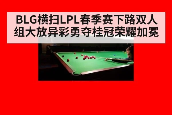 BLG横扫LPL春季赛下路双人组大放异彩勇夺桂冠荣耀加冕